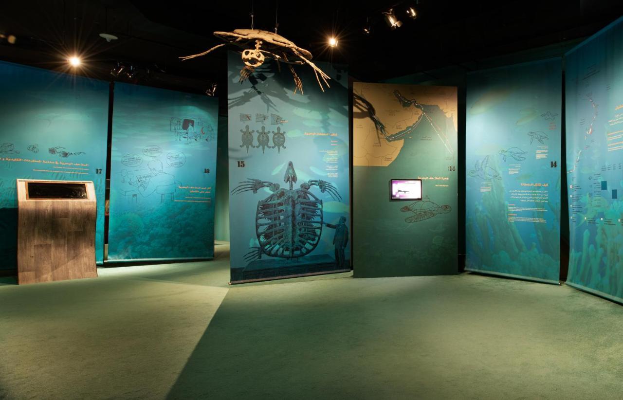 Ras Al Jinz Turtle Reserve Al Hadd Dış mekan fotoğraf